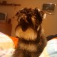 aqui tng un añito y con el pelo larguisimo.